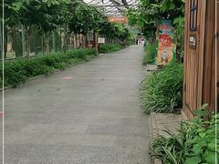 -南宫五洲植物乐园