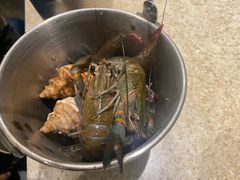 -初色海鲜自助(万丰路店)