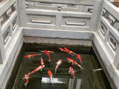 -鲤院·新中式美学·庭院餐厅(夫子庙店)