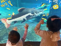 -华夏文旅海洋公园
