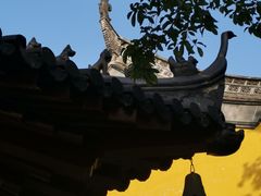 -赭山公园