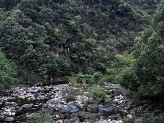 -石台牯牛降景区