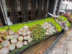 -桥边小楼·手工云南菜·古城观景小楼