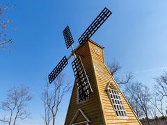 -上海海湾国家森林公园