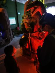 -恐龙探索乐园(磁器口店)