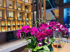 -连鹭海鲜·海肠捞饭·海胆饭(星海店)
