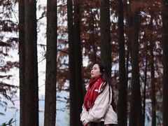 -重庆彩云湖湿地公园