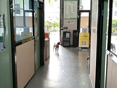 -半岛宠物医院24小时(科华中路店)
