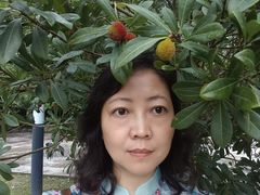 -宝岩生态观光园