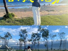-洱海月湿地公园