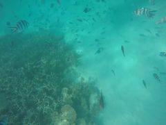 -蓝湾海滩