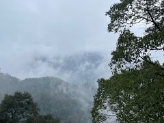 -青城山