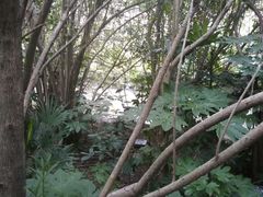 -苏州河梦清园环保主题公园