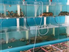 水产区-1910老鲁味海鲜·戳子肉·青岛菜(金沙滩店)