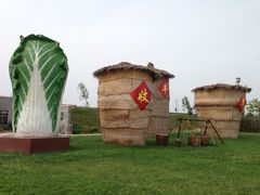 -上海都市菜园