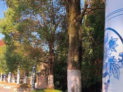 -景德镇古窑民俗博览区