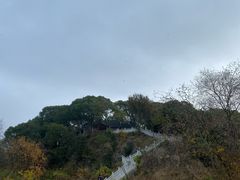 -上海市保健医疗中心