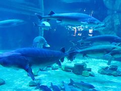 -华夏文旅西安度假区