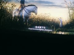 -SFC上影百联影城(川沙IMAX店)