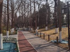 -宣武艺园