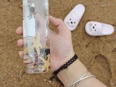 -巧克力渔家.小船海鲜家常菜(万平口店)