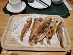 -老阿妈蒙古村·蒙古包·草原文化·歌舞表演(老君堂店)
