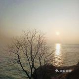 我听见海的声音👂