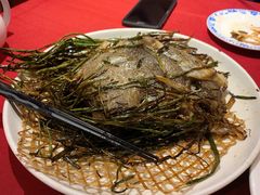 -老吉士酒家(天平路店)