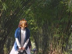 -堤角公园