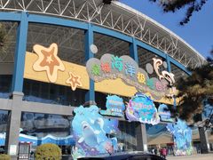 -泉城欧乐堡海洋极地世界