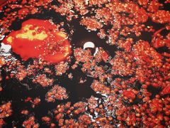 -朱氏胖子烂火锅(洪崖洞店)