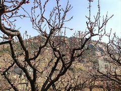 -崂山九水游览区