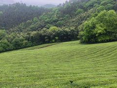 -敬亭山风景名胜区