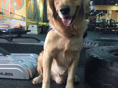 -RoMan罗马健身工作室(莘庄店)