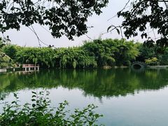 -棠湖公园