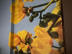 -蓉府金足印象(望江店)