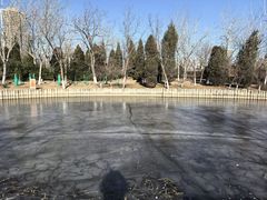 -绿岛公园(滨海新区)