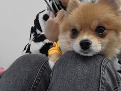 -怪兽屋·羊驼·猫咖·狗咖(俊华广场店)