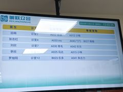 -美联众合动物医院·24h转诊中心