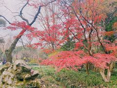 -杭州植物园