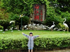 -广州白江湖森林公园