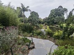 -墨尔本皇家植物园