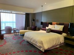 -南京禄口机场雅高铂尔曼大酒店