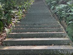 -广州市帽峰山景区