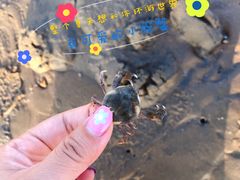 -东戴河风景区-止锚湾