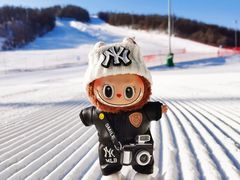 -长春莲花山滑雪场