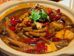 -福苗小骆驼烧烤(望京店)