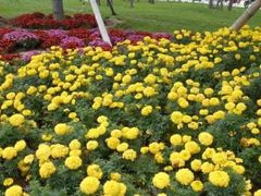 -燕郊植物园