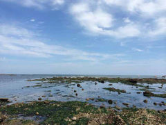 android_upload_pic-大连金石滩滨海国家地质公园