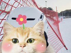 -蓟洲国际滑雪场